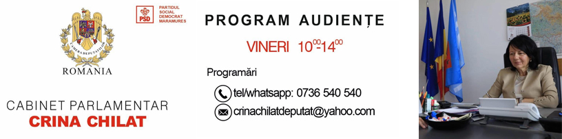Crina Chilat Deputat