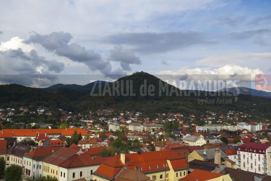 AJPIS Maramureș: Ce plăți au fost efectuate în luna octombrie 2025?