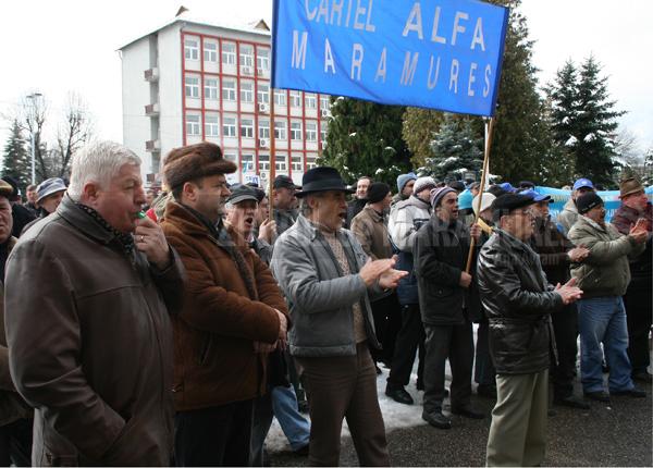 Miting în Baia Mare. Membrii din Cartel Alfa vor mărșălui pe străzile orașului. 100 de persoane sunt așteptate să participe la protest