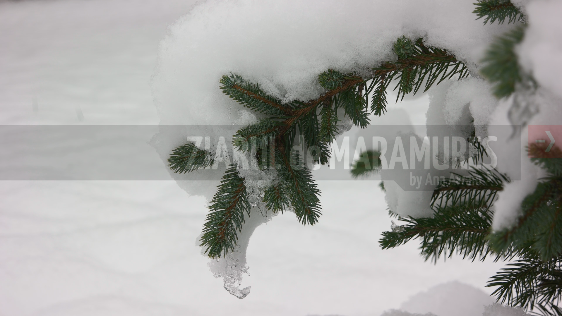 Administraţia de Meteorologie din Ucraina prognozează o iarnă mai blândă decât de obicei în ţară