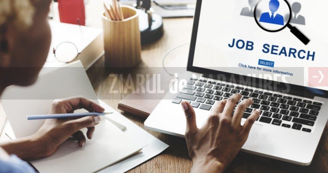 ANOFM-Angajatorii europeni oferă 1.025 de posturi pentru români. La nivel național sunt 12.506 locuri de muncă vacante