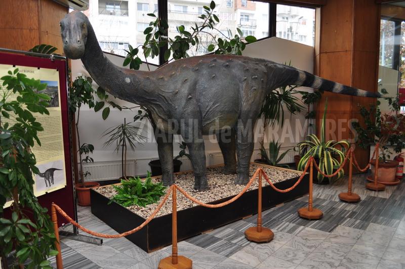 Expoziția ”Ultimii dinozauri din Transilvania” de la Muzeul de Mineralogie din Baia Mare, prelungită până în luna iunie a.c.
