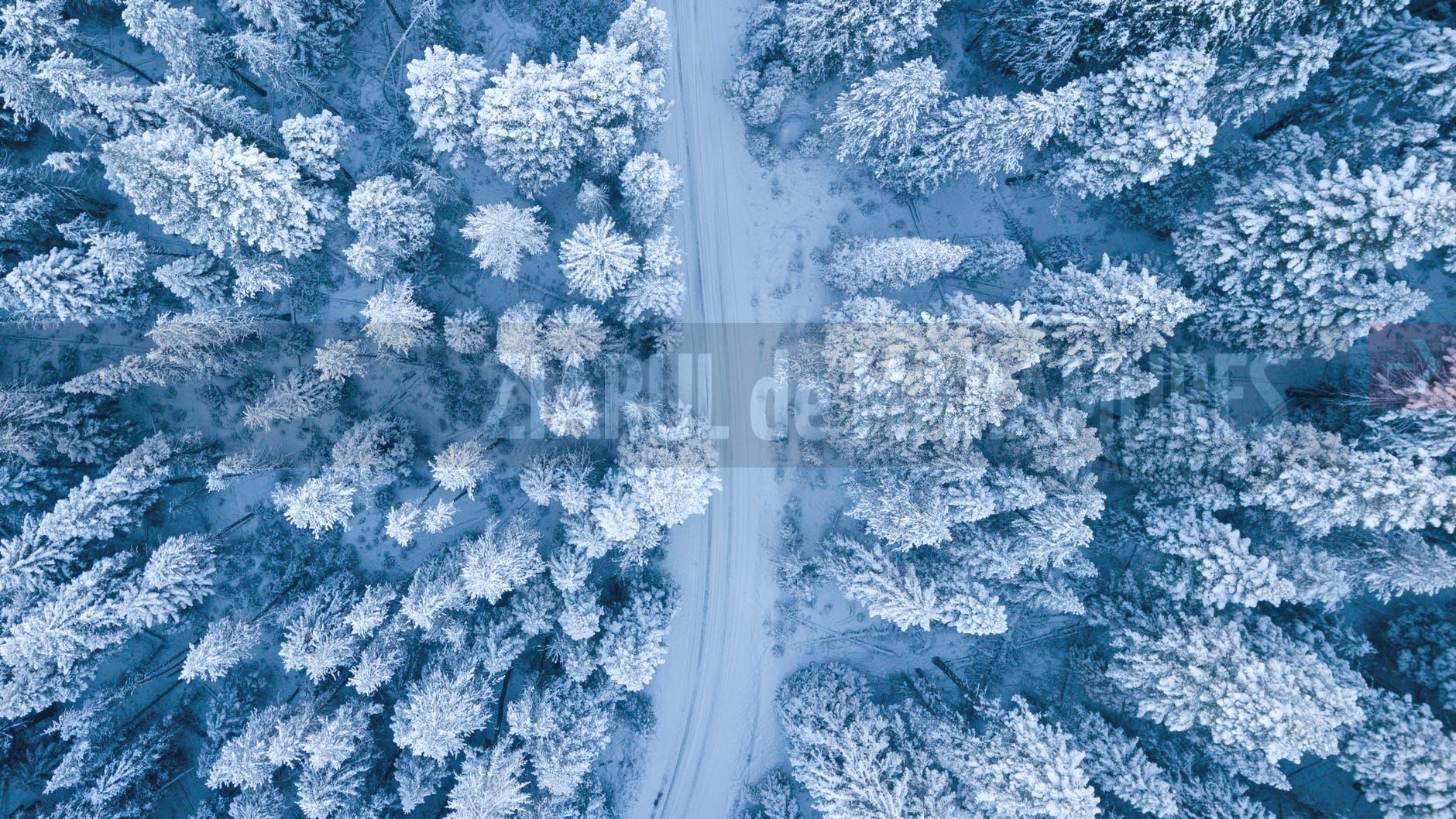 -9 grade C, cea mai joasă temperatură de astăzi, în Maramureș. 27 de cm, stratul de zăpadă la Baia Borșa