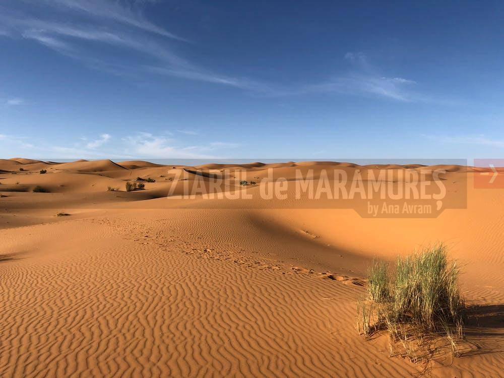 Deșertul Sahara