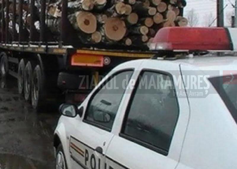 Peste 170 mc de material lemnos, confiscat. Polițiștii maramureșeni au oprit 24 de transportatori