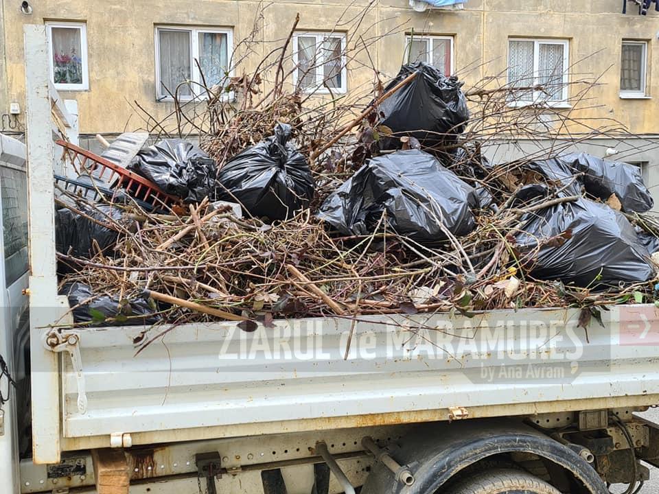 50 de saci cu deșeuri menajere au fost adunați din jurul unui bloc din Baia Sprie. Primăria avertizează locatarii