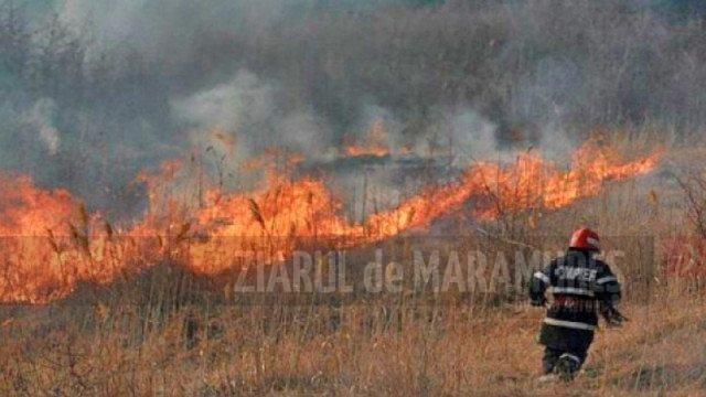 18 incendii de vegetație uscată în mai puțin de 72 de ore. ISU Maramureș vine cu recomandări