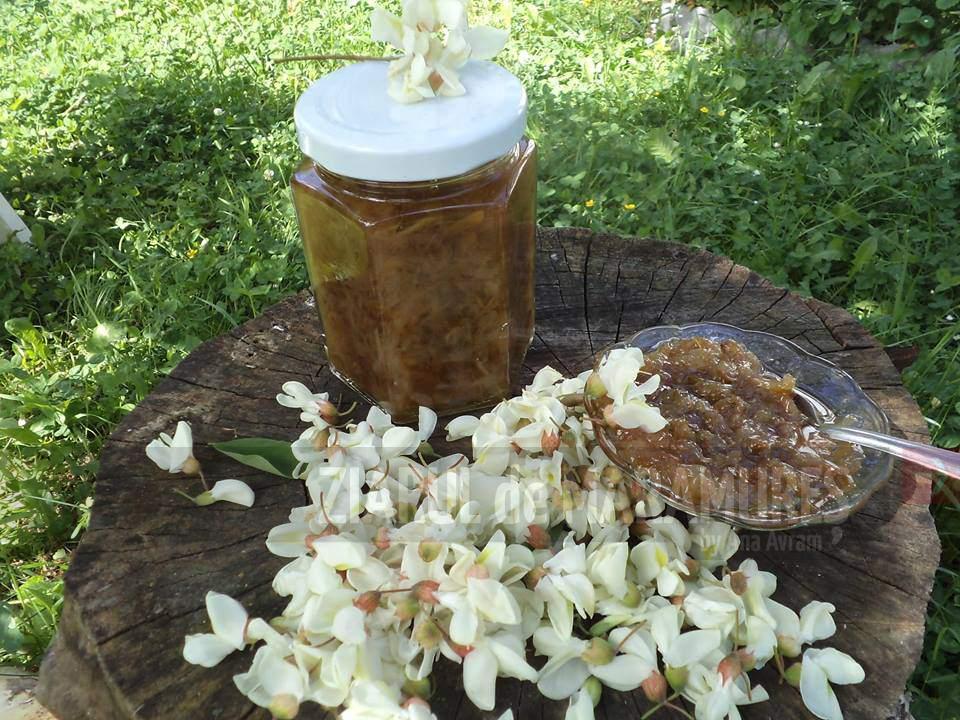 Clătitele de Baia Sprie cu flori de salcâm, un deliciu. Beneficiile florilor de salcâm