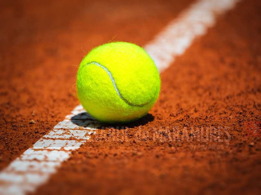 Tenis: Monica Niculescu s-a calificat în turul al doilea al probei feminine de dublu la Roland Garros