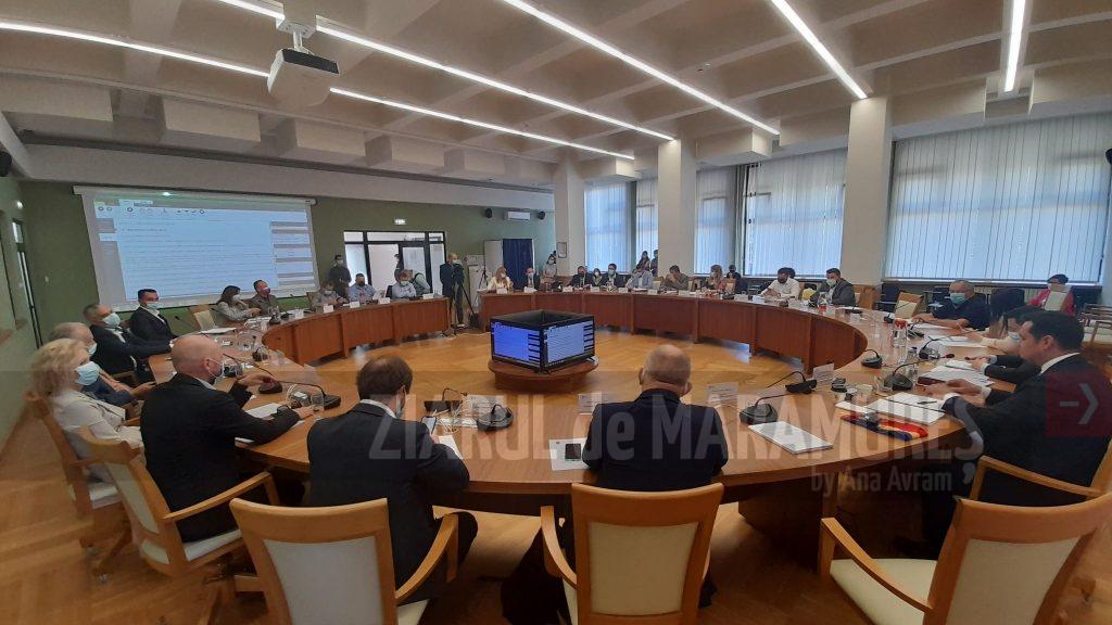 Primate sau homo sapiens în Consiliul Local Baia Mare? Care e