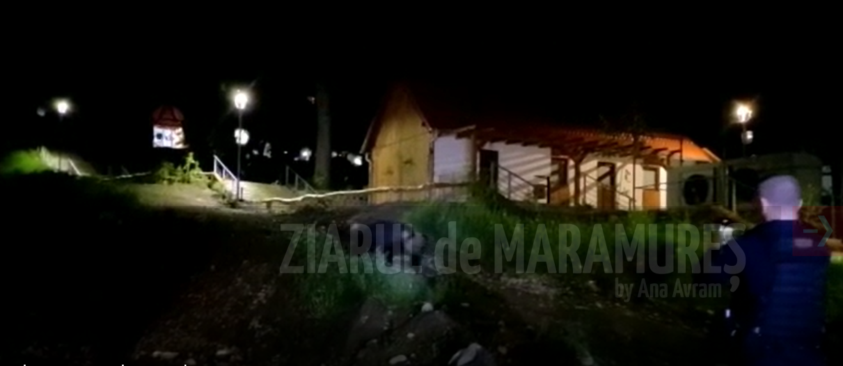 (Video)Opt urși îndepărtați de către jandarmi, la Băile Tușnad