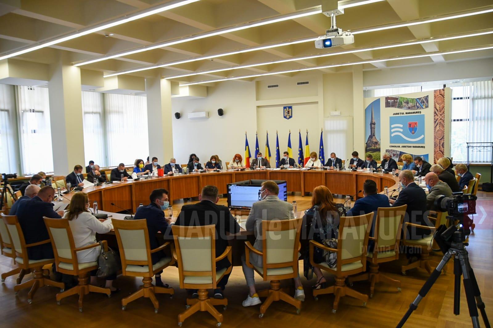 Consiliul Județean a acordat Anei Blandiana titlul de cetățean de onoare al județului Maramureș