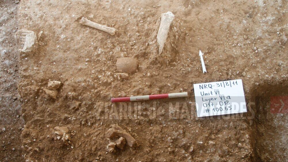 O nouă specie de om preistoric descoperită recent în Israel