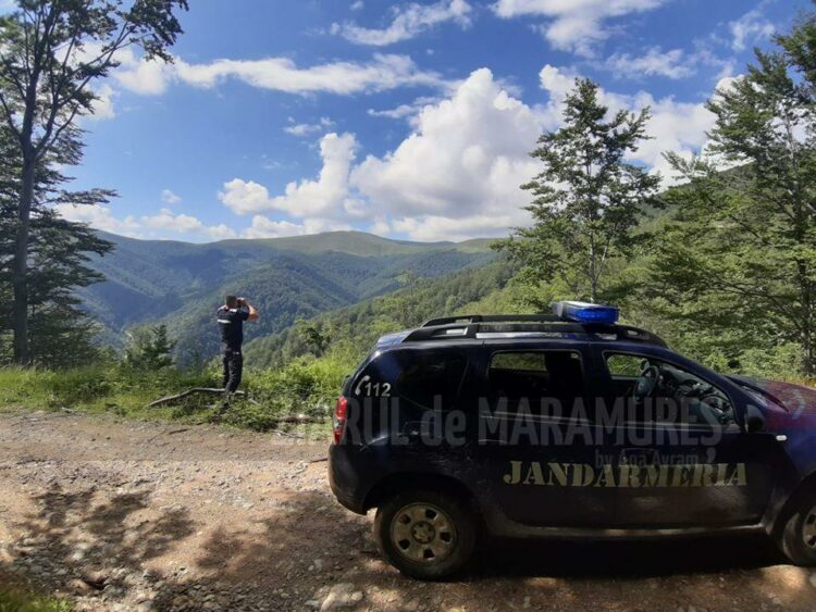 Recomandările jandarmilor din Borșa, Cavnic, Șuior pentru iubitorii de drumeții montane