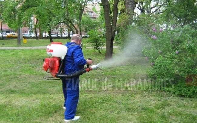 Baia Mare: SPAU derulează activități de dezinsecţie terestră împotriva țânțarilor și a căpușelor