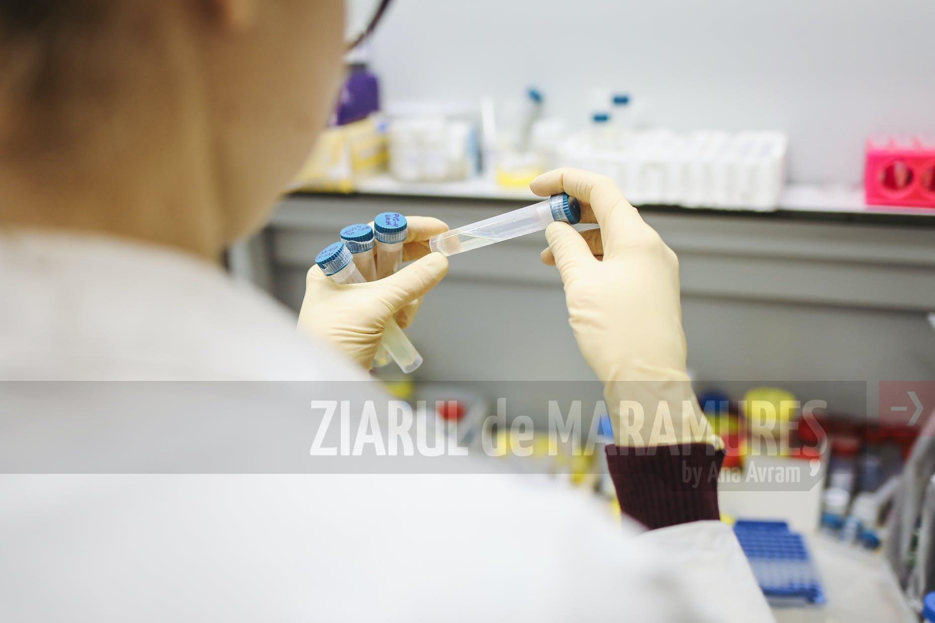 32.519 de teste rapide antigenice, la nivel național și 71 de cazuri noi în Maramureș