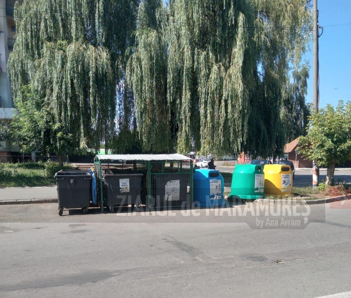 FOTO-Platformele de gunoi din Sighetu Marmației, Săliștea, Dragomirești, Vișeu de Jos și Ieud au fost curățate