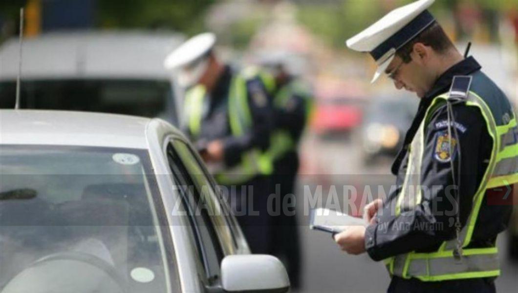563 de autovehicule oprite și 465 de sancțiuni contravenționale aplicate de polițiștii maramureșeni