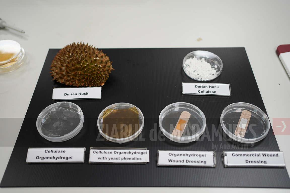 O echipă de cercetători din Singapore transformă coji de durian în plasturi antibacterieni