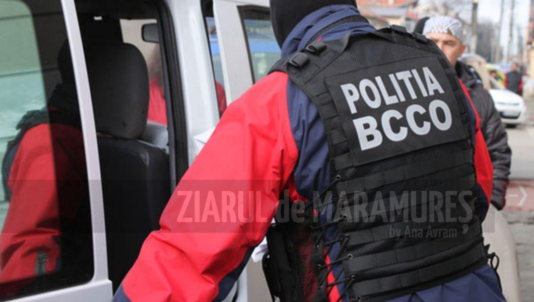 Traficanți de carne vie săltați de polițiștii de la BCCO și procurorii DIICOT-ST Constanța