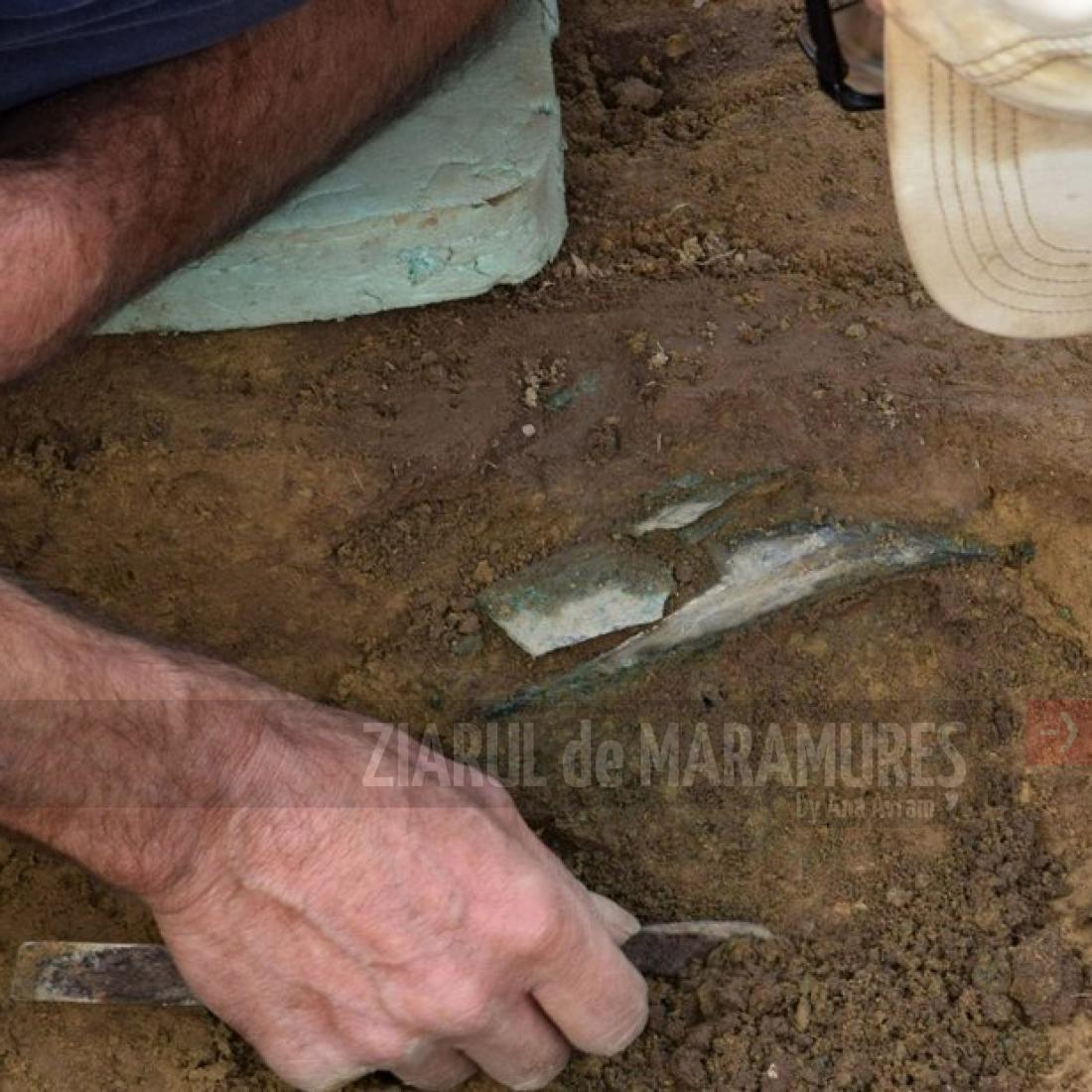 O echipă de arheologi au descoperit topoare şi seceri datând din Epoca Bronzului