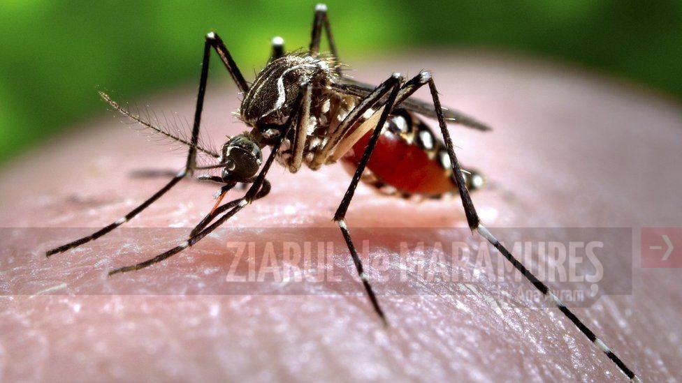 Un nou caz de virus Zika, depistat în statul Uttar Pradesh din nordul Indiei