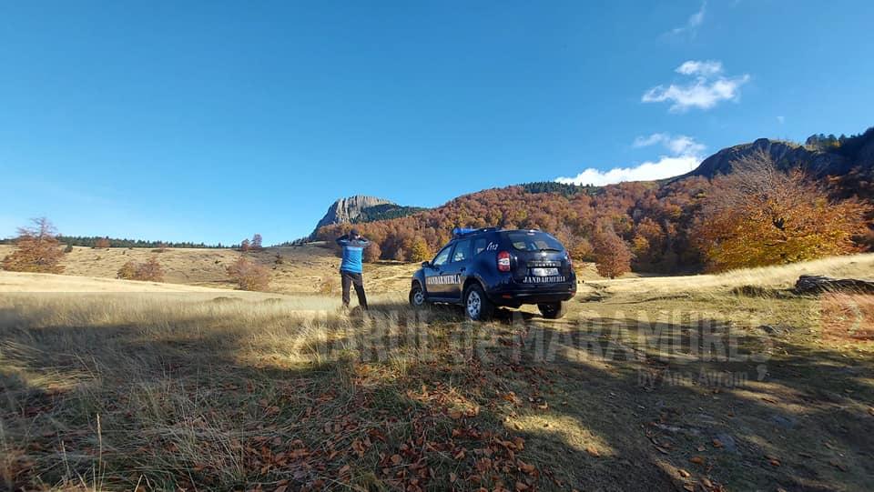 Weekendul acesta, 40 de jandarmi montani în stațiuni. Ce să faci în cazul unui urs?