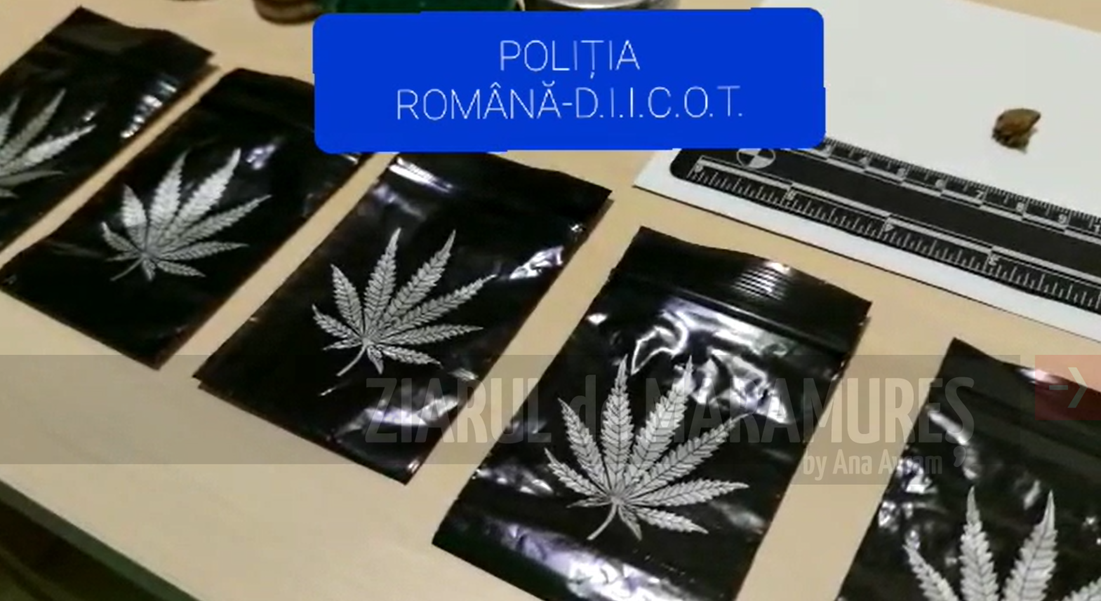 În VIDEO-Ce a descoperit procurorul DIICOT Maramureș în locuințele traficanților de droguri