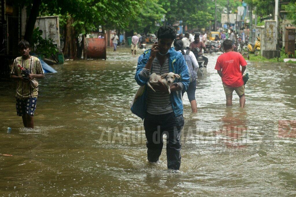 Cel puţin 41 de morţi în urma ploilor torențiale din sudul Indiei şi Sri Lanka
