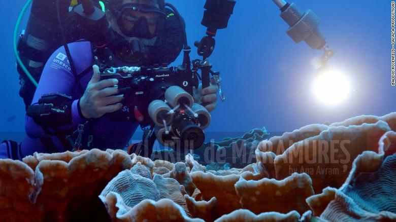 Recif de corali uriaşi, descoperit la peste 30 de metri adâncime, în zona insulei Tahiti