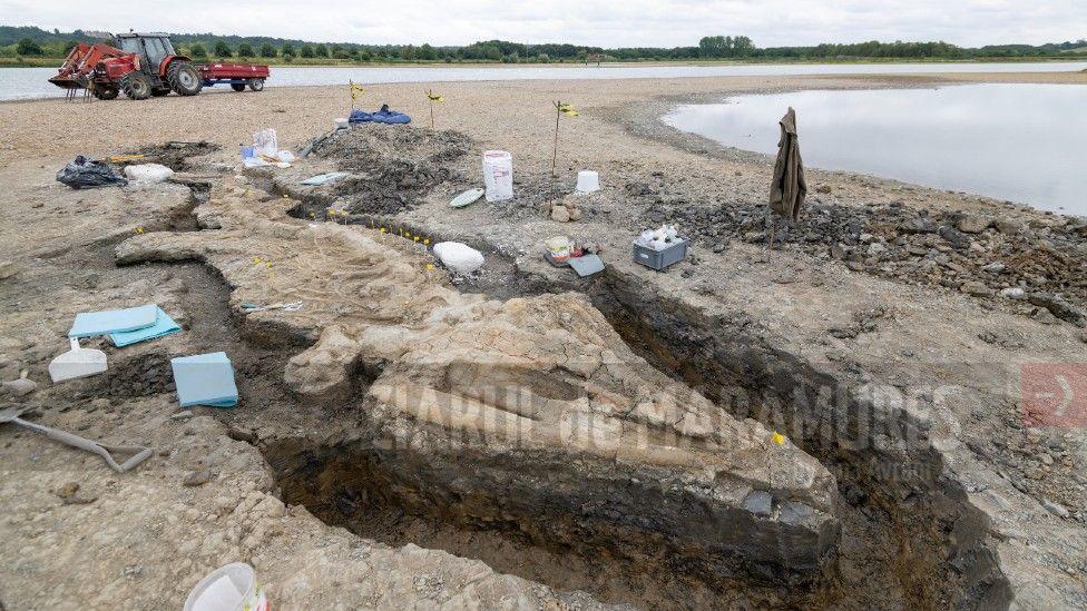 Cea mai mare fosilă a unui dragon de mare a fost găsită de cercetători pe teritoriul Marii Britanii