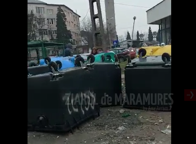 VIDEO-FOTO: DRUSAL a răsturnat pubelele Primăriei Baia Mare. Primarul Cătălin Cherecheș a dispus verificarea modului în care s-a făcut înlocuirea pubelelor municipiului cu cele ”IGIENIZATE” și ridicate de SC DRUSAL în 31 decembrie 2021
