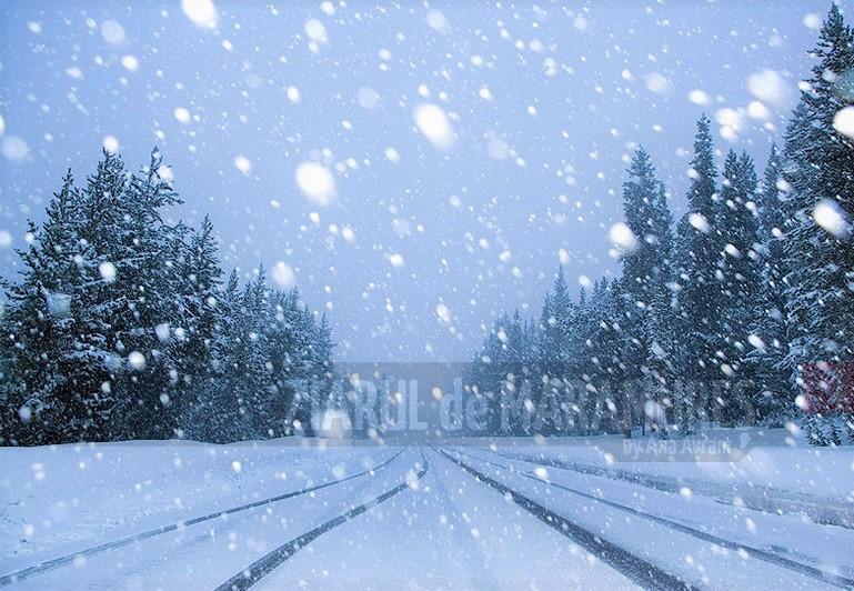 Un nou strat de zăpadă se va depune în unele zone din Maramureș