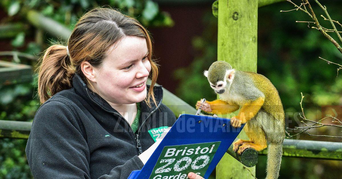 Marea Britanie: Grădina Zoologică din Bristol își închide porțile după 186 de ani de existență