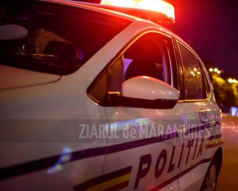 Băimărean ”turnat” la polițiști după ce s-a urcat băut la volanul unei autoutilitare