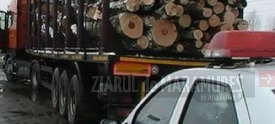 28 de controale, amenzi în valoare de 85.000 de lei și 330 mc de material lemnos confiscat de polițiștii maramureșeni