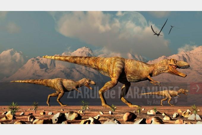 Tiranozaurul, cel mai faimos dintre toţi dinozaurii, ar fi avut încă două rude