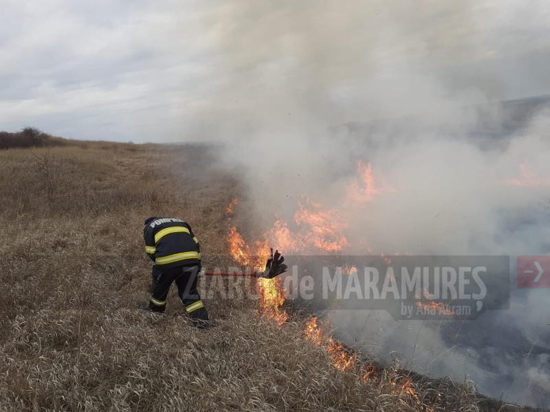 Maramureș: 20 de hectare de vegetație uscată mistuită de flăcări