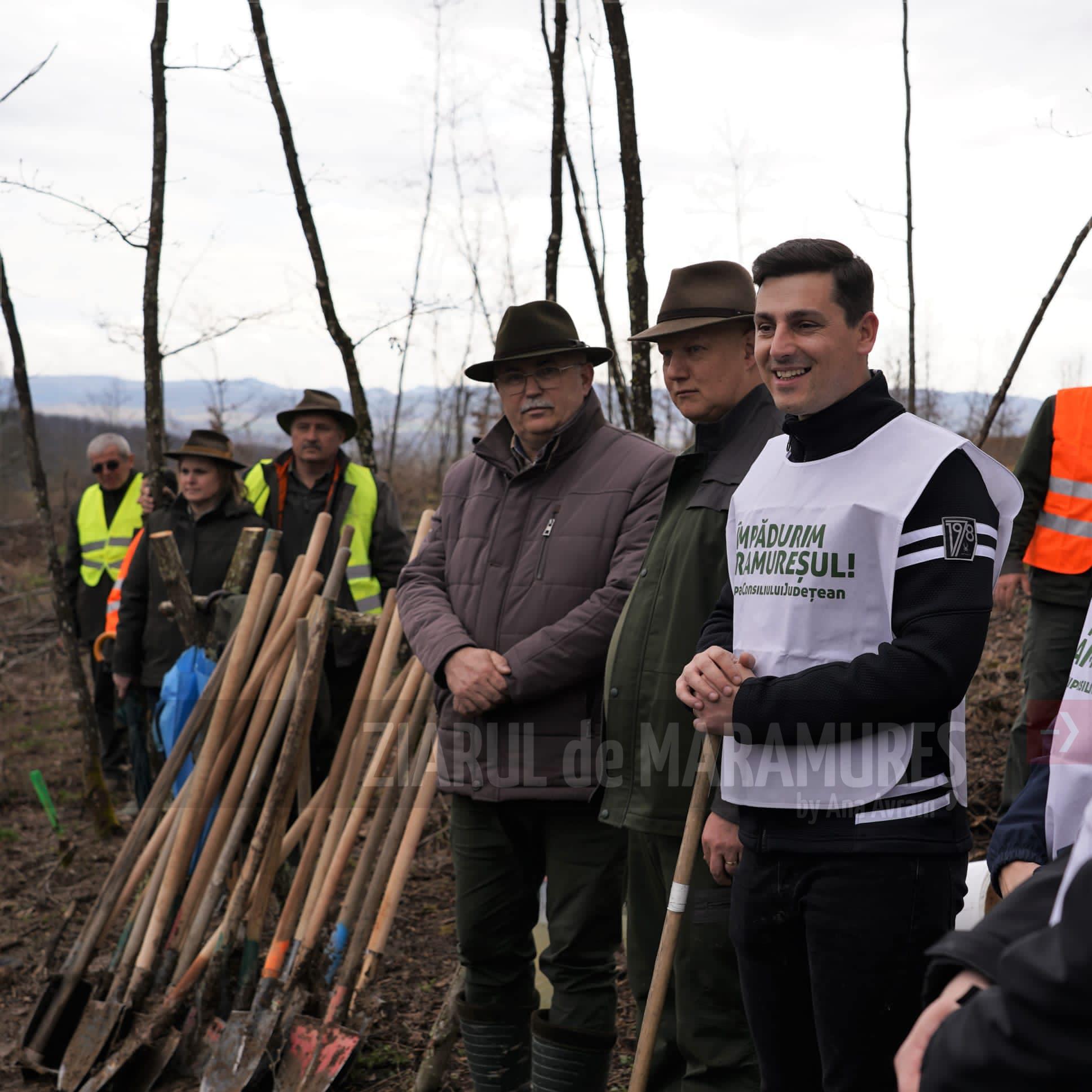 Ionel Bogdan: Prin campania ”Împădurim Maramureșul” plantăm anul acesta 55.000 de copaci