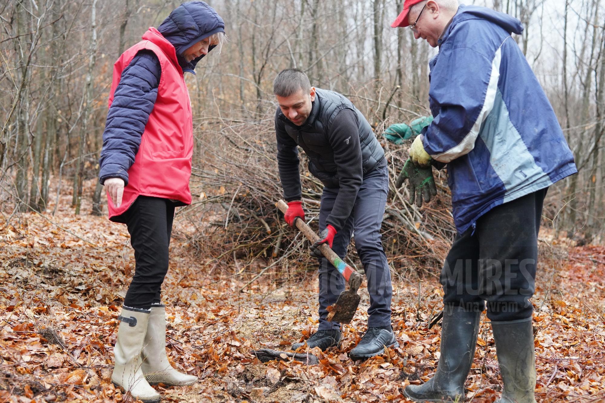 Reprezentanții PSD Maramureș au plantat puieți de stejar în Băița