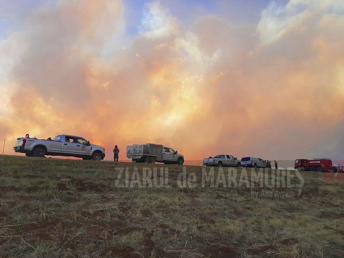 SUA: 6.000 de persoane evacuate din cauza incendiilor de vegetație