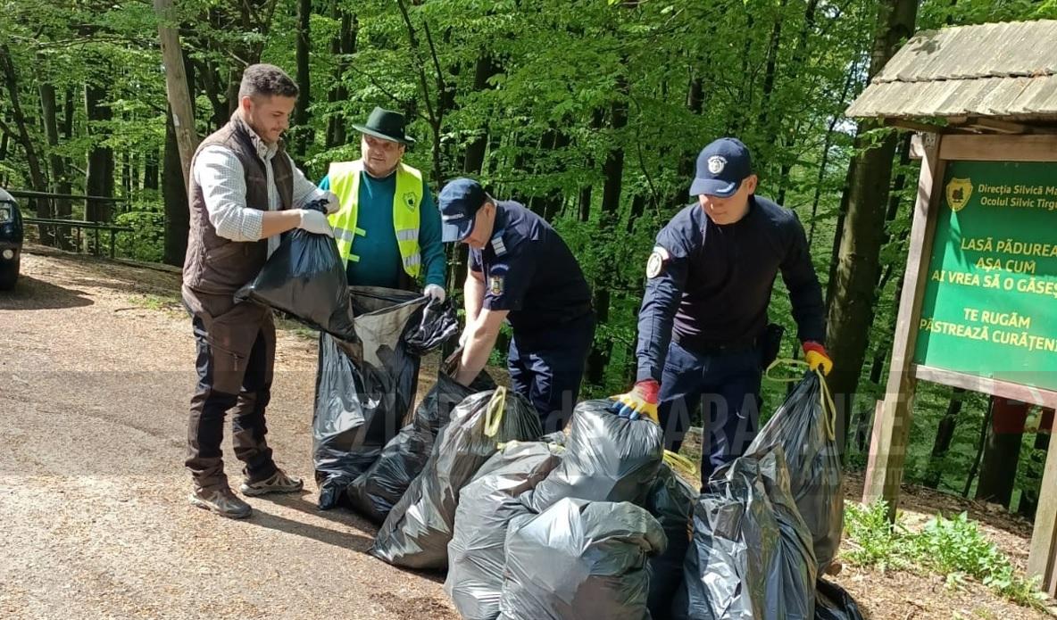 Jandarmii au spus PREZENT la acțiunile de curățare a zonelor împădurite; au intervenit pe zonele Ocoalelor silvice Baia Sprie și Târgu Lăpuș