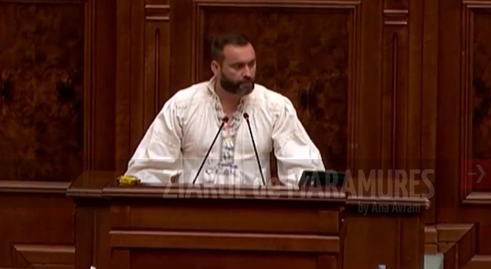 VIDEO-Cristian Niculescu Țâgârlaș a susținut respingerea propunerii legislative pentru modificarea Legii nr 544/2001