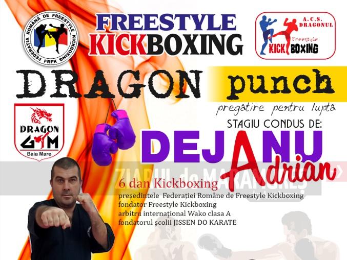 Stagiul Național Zonal de Freestyle Kickboxing organizat de ACS Dragonul Baia Mare și FRF Kickboxing