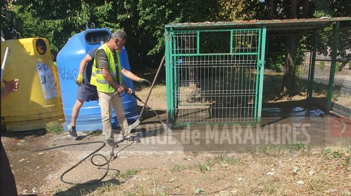 ADI Deșeuri Maramureș cere confiscarea mijloacelor de transport din care se aruncă necontrolat deșeuri