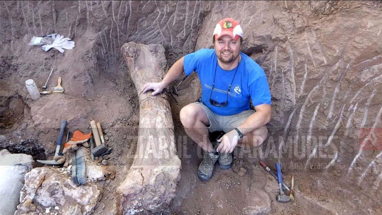 Rămăşiţele unei noi specii de dinozaur gigantic, descoperite în Argentina