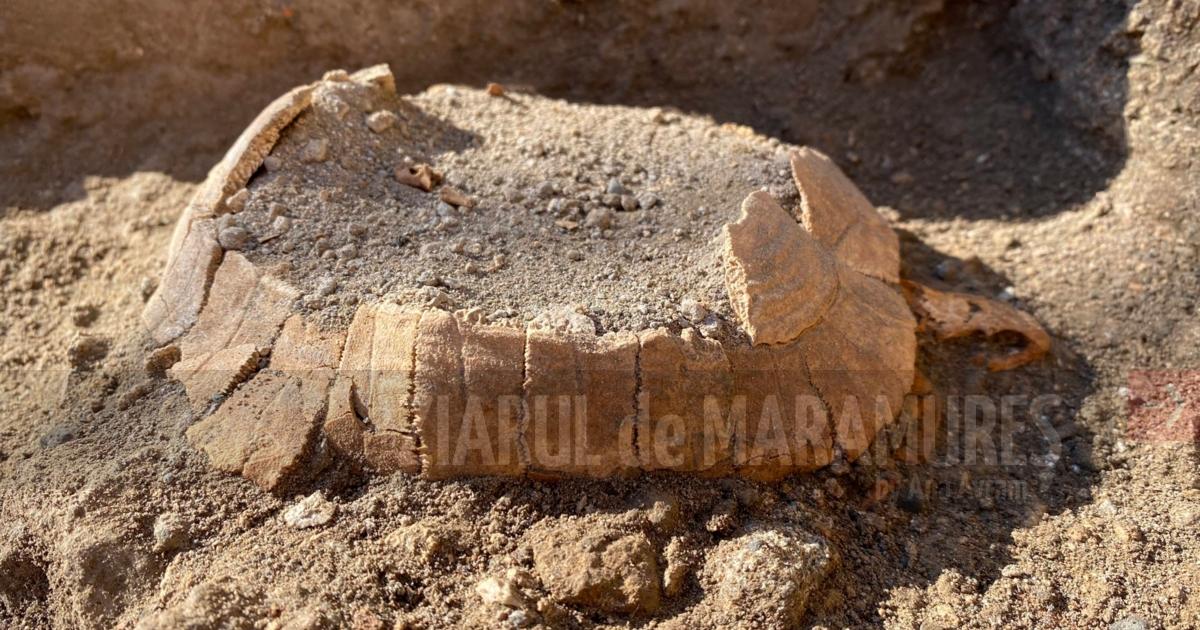 Fosilele unei ţestoase şi ale unuia dintre ouăle sale, descoperite în Pompeii