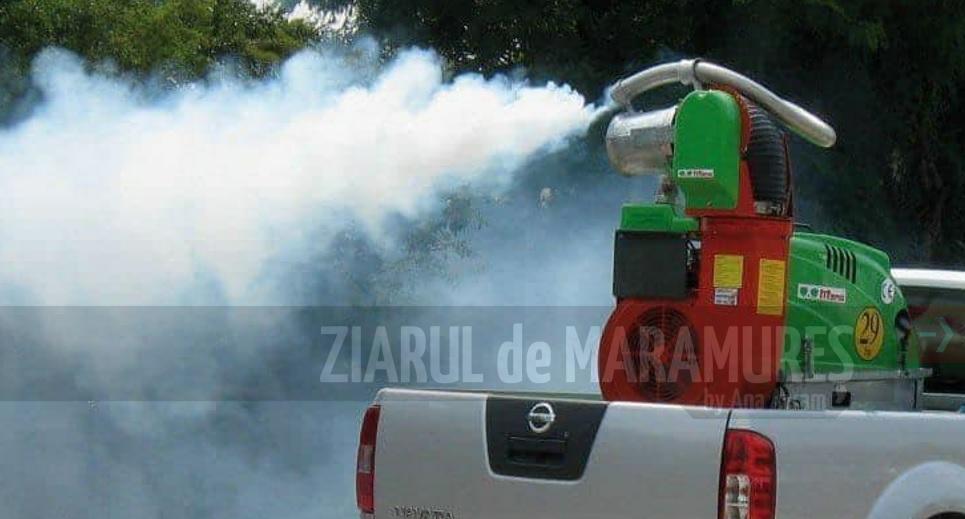 De luni, 21 august, începe dezinsecția terestră împotriva țânțarilor şi căpuşelor pe raza municipiului Baia Mare