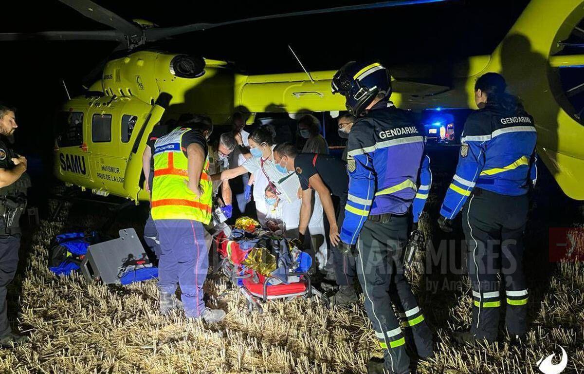 O turmă de ponei a rănit 15 copii şi doi adulţi în vestul Franţei