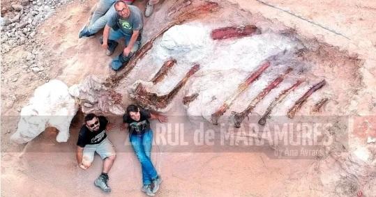 Fosilele unui dinozaur sauropod cu dimensiuni uriaşe, descoperite în Portugalia